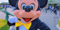 台風の日のディズニーは営業しているの？| キャステル | CASTEL ディズニー情報