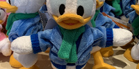 冬版ドナルドのポージープラッシー（ぬいぐるみ）| キャステル | CASTEL ディズニー情報