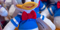 ポージープラッシー　ドナルド| キャステル | CASTEL ディズニー情報
