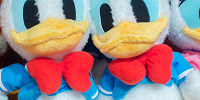 ドナルドもこもこぬいぐるみ| キャステル | CASTEL ディズニー情報