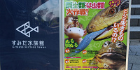 すみだ水族館では季節ごとにさまざまなイベントがあります| キャステル | CASTEL ディズニー情報