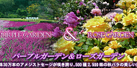 「あしかがフラワーパーク」のお花| キャステル | CASTEL ディズニー情報