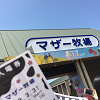 マザー牧場 アクセス方法まとめ 電車 車 バス フェリー 東京 横浜発 お得なチケット情報も