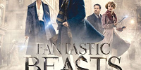ファンタスティック・ビーストと魔法使いの旅| キャステル | CASTEL ディズニー情報