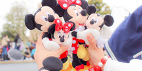 ディズニーオタクの定番アイテム ぬいば| キャステル | CASTEL ディズニー情報