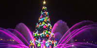 「カラー・オブ・クリスマス」の巨大クリスマスツリー| キャステル | CASTEL ディズニー情報