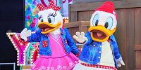 ディズニーの鳥キャラクターまとめ！20羽の鳥たちの出演映画＆個性豊かな性格も！