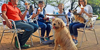 犬連れでマザー牧場を楽しもう| キャステル | CASTEL ディズニー情報