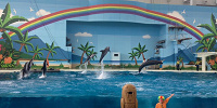 八景島シーパラダイス水族館| キャステル | CASTEL ディズニー情報