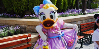 オシャレでセクシーなデイジーダック| キャステル | CASTEL ディズニー情報