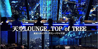 天空ラウンジ TOP of TREE （フランス料理/カフェバー）| キャステル | CASTEL ディズニー情報