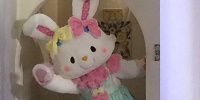 ウィッシュミーメル| キャステル | CASTEL ディズニー情報