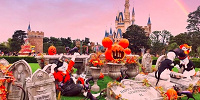 ハロウィーンのディズニーランド(photo by: @yuubb8 様♡)| キャステル | CASTEL ディズニー情報