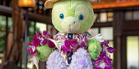 噂の写真| キャステル | CASTEL ディズニー情報