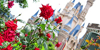 コントラストがすてき♡| キャステル | CASTEL ディズニー情報
