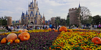 ディズニーランドの楽しみ方| キャステル | CASTEL ディズニー情報