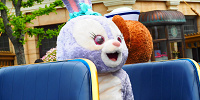 上海ディズニーランドのグリーティング（イメージ）| キャステル | CASTEL ディズニー情報