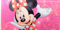 ディズニー年パスを持っているとできること⑧| キャステル | CASTEL ディズニー情報