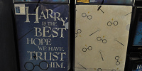 Harry’s Glasses（ハリーズグラッシーズ）のクリアファイル2枚セット| キャステル | CASTEL ディズニー情報
