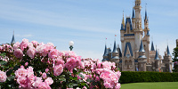 まとめ| キャステル | CASTEL ディズニー情報