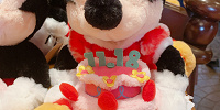 ミニーぬいぐるみ| キャステル | CASTEL ディズニー情報