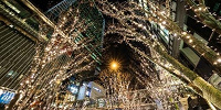 GRAND WISH CHRISTMAS 2019「シャンパンゴールドイルミネーション」| キャステル | CASTEL ディズニー情報
