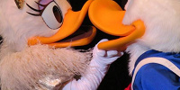 キャラクターはどこにいる？| キャステル | CASTEL ディズニー情報
