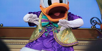 ドナルドダックの誕生秘話| キャステル | CASTEL ディズニー情報