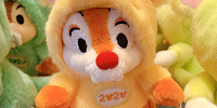 デールぬいぐるみバッジ| キャステル | CASTEL ディズニー情報