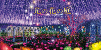 【2019-2020】足利フラワーパークのイルミネーション情報！料金、アクセス、見どころ、混雑を解説