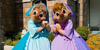 スージー＆パーラ| キャステル | CASTEL ディズニー情報