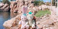 ダッフィーたちの記念写真| キャステル | CASTEL ディズニー情報