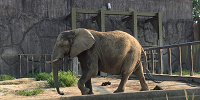 東武動物公園駅の歴史| キャステル | CASTEL ディズニー情報