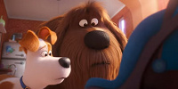 デューク（中央）／映画『ペット2』| キャステル | CASTEL ディズニー情報