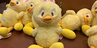 うさピヨぬいぐるみ| キャステル | CASTEL ディズニー情報