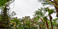 Pandora - The World of Avatar エントランス　設定：16㎜ SS1/100 F10 ISO100| キャステル | CASTEL ディズニー情報