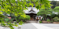 SIGMA 18-35mm F1.8 DC HSM　作例| キャステル | CASTEL ディズニー情報