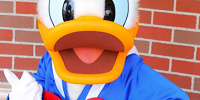 ドナルドの誕生日は決まっていない？| キャステル | CASTEL ディズニー情報