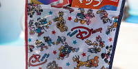 ディズニーコロナ対策の持ち物| キャステル | CASTEL ディズニー情報