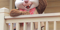 デール| キャステル | CASTEL ディズニー情報