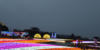 光の花畑| キャステル | CASTEL ディズニー情報