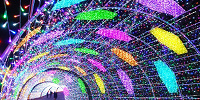 一新されたパサージュ| キャステル | CASTEL ディズニー情報
