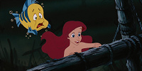 Don’t be such a guppy.| キャステル | CASTEL ディズニー情報