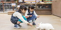 ピョンタッチ広場| キャステル | CASTEL ディズニー情報
