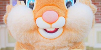 ミスバニー| キャステル | CASTEL ディズニー情報