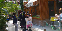 神戸どうぶつ王国の親子展示| キャステル | CASTEL ディズニー情報