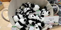プチパンダ| キャステル | CASTEL ディズニー情報