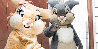 とんすけとミス・バニー| キャステル | CASTEL ディズニー情報