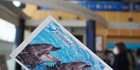 新江ノ島水族館チケット| キャステル | CASTEL ディズニー情報