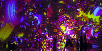 Floating in the Falling Universe of Flowers| キャステル | CASTEL ディズニー情報
